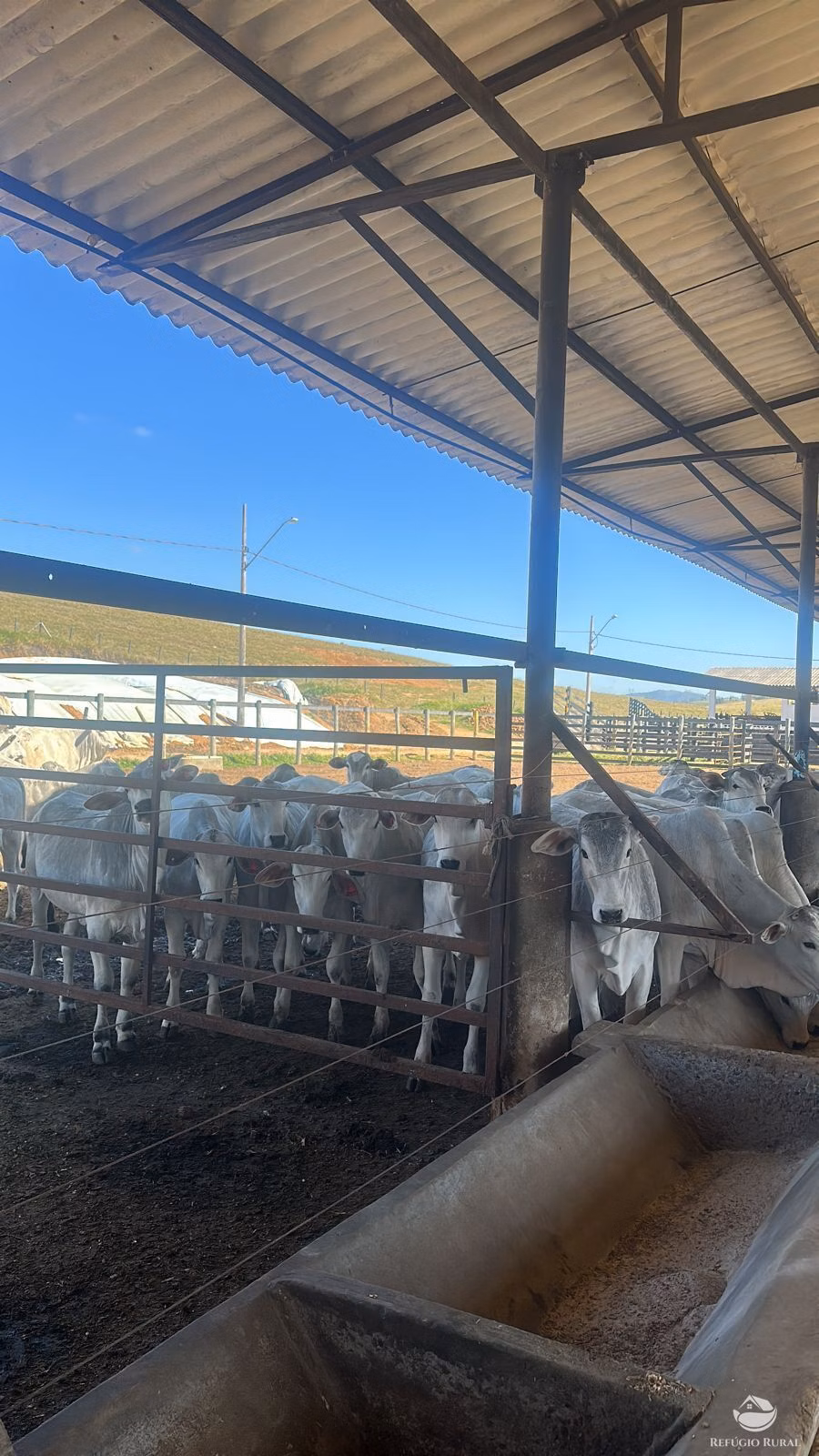 Fazenda de 256 ha em São José dos Campos, SP