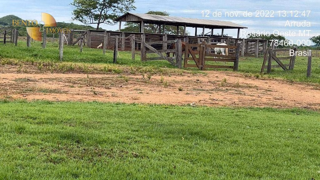 Fazenda de 317 ha em Acorizal, MT