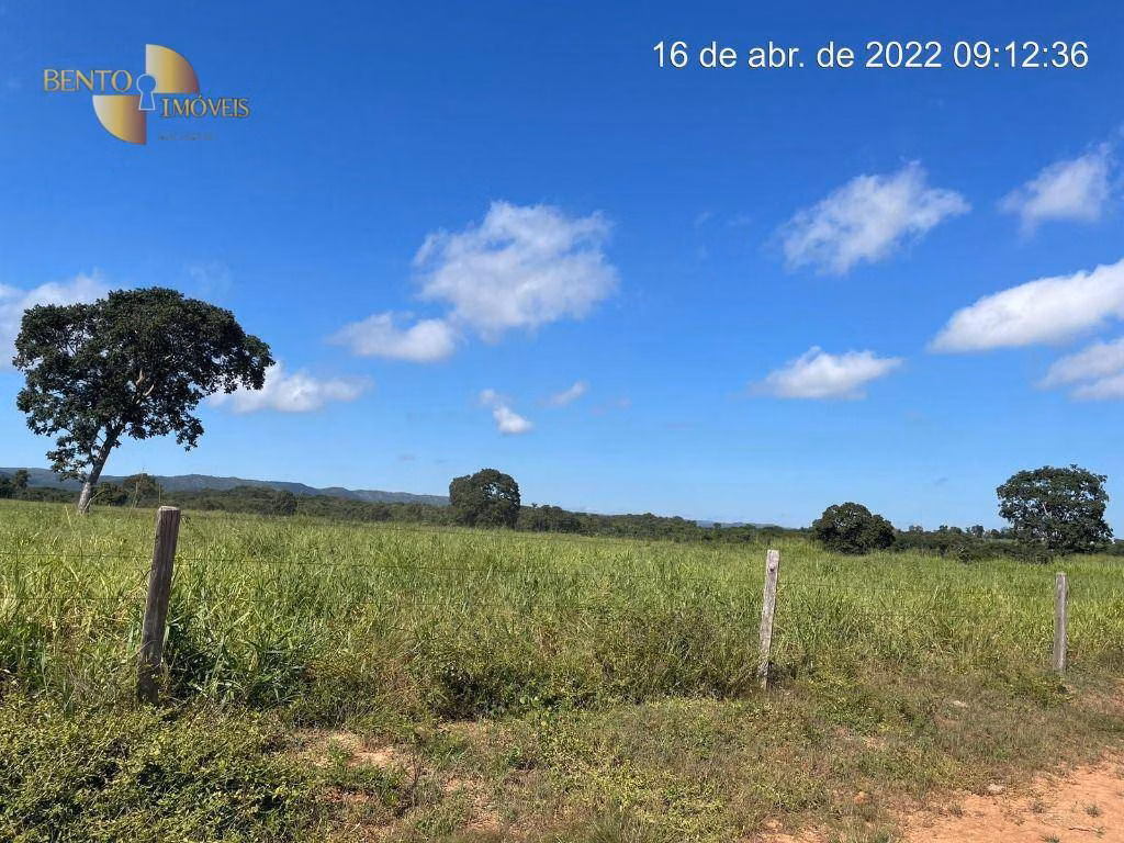 Fazenda de 317 ha em Acorizal, MT