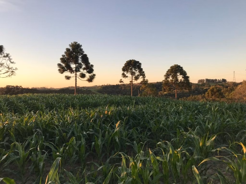 Small farm of 66 acres in Pilar do Sul, SP, Brazil