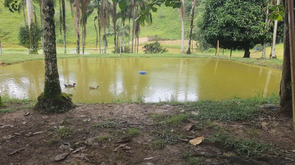 Fazenda à venda de 155 ha em Miracatu, SP