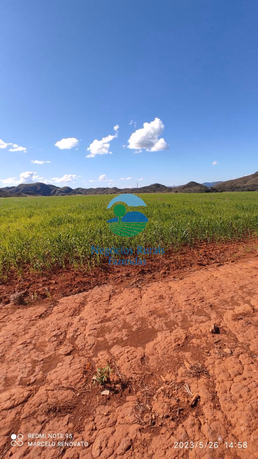 Fazenda de 352 ha em Niquelândia, GO