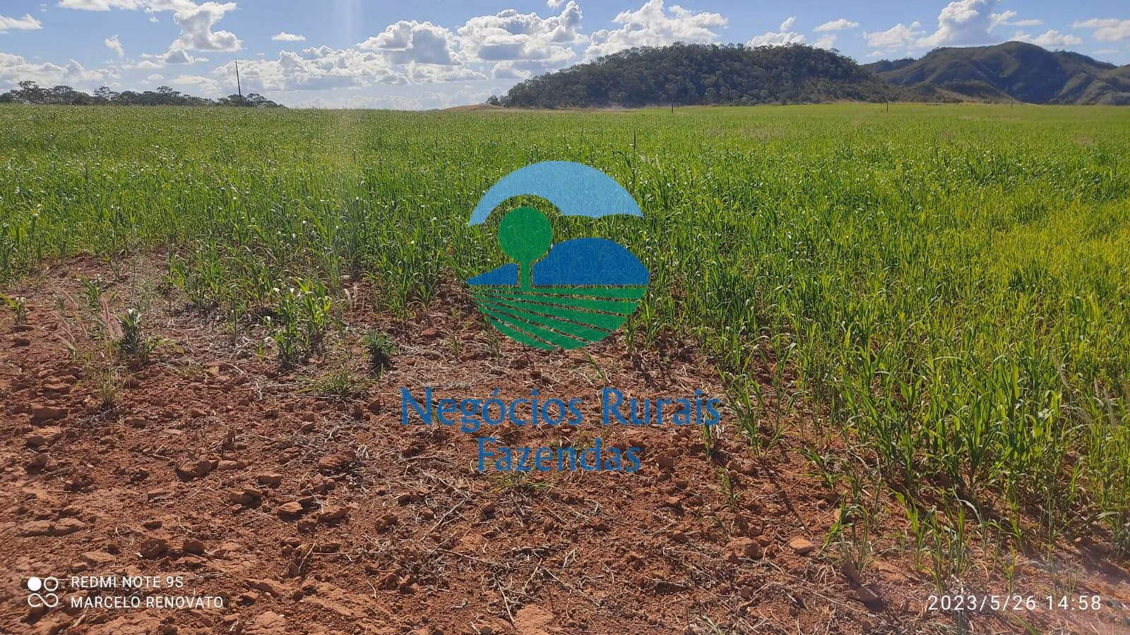 Fazenda de 352 ha em Niquelândia, GO