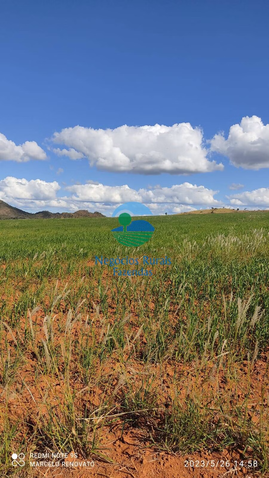 Fazenda de 352 ha em Niquelândia, GO