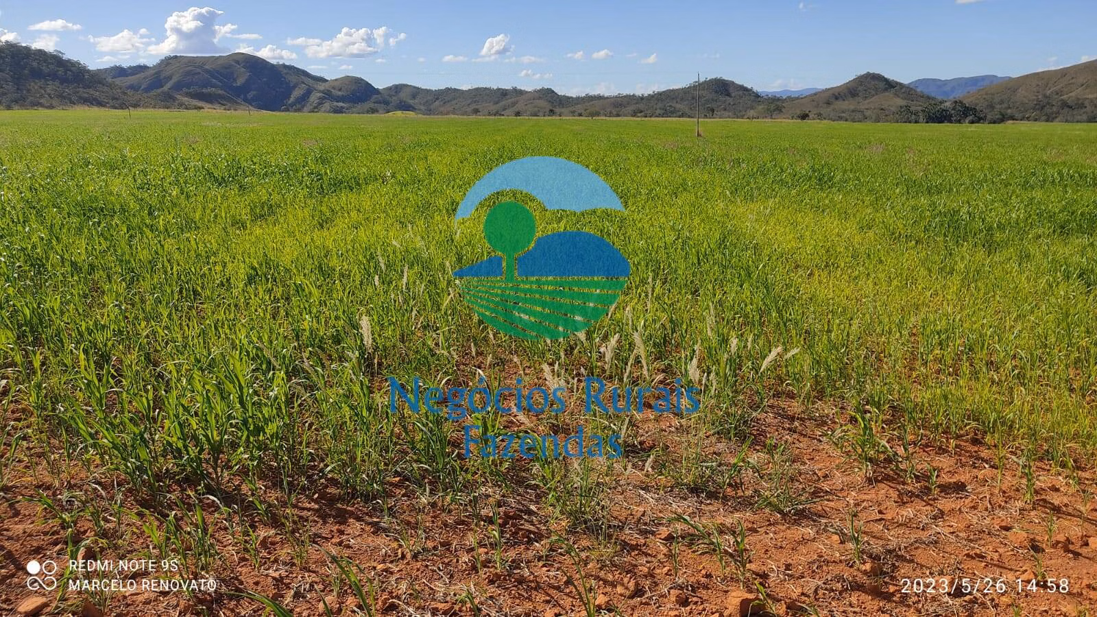 Fazenda de 352 ha em Niquelândia, GO