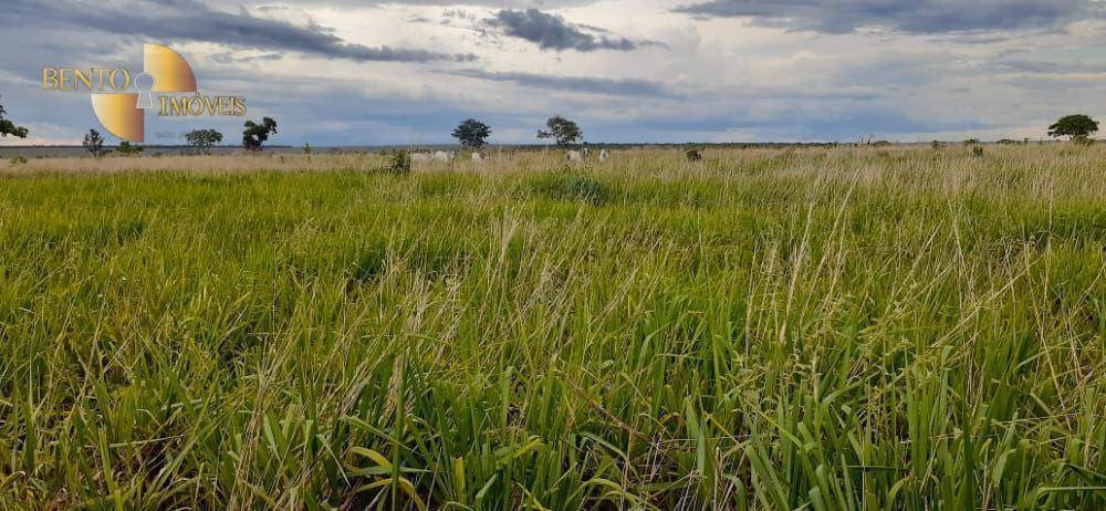 Fazenda de 4.880 ha em Itiquira, MT