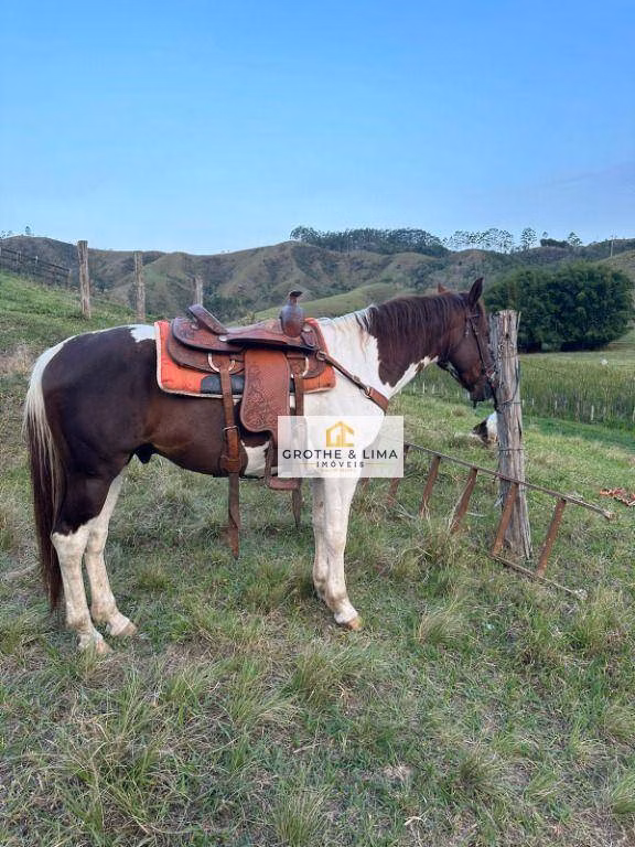 Fazenda de 73 ha em Natividade da Serra, SP