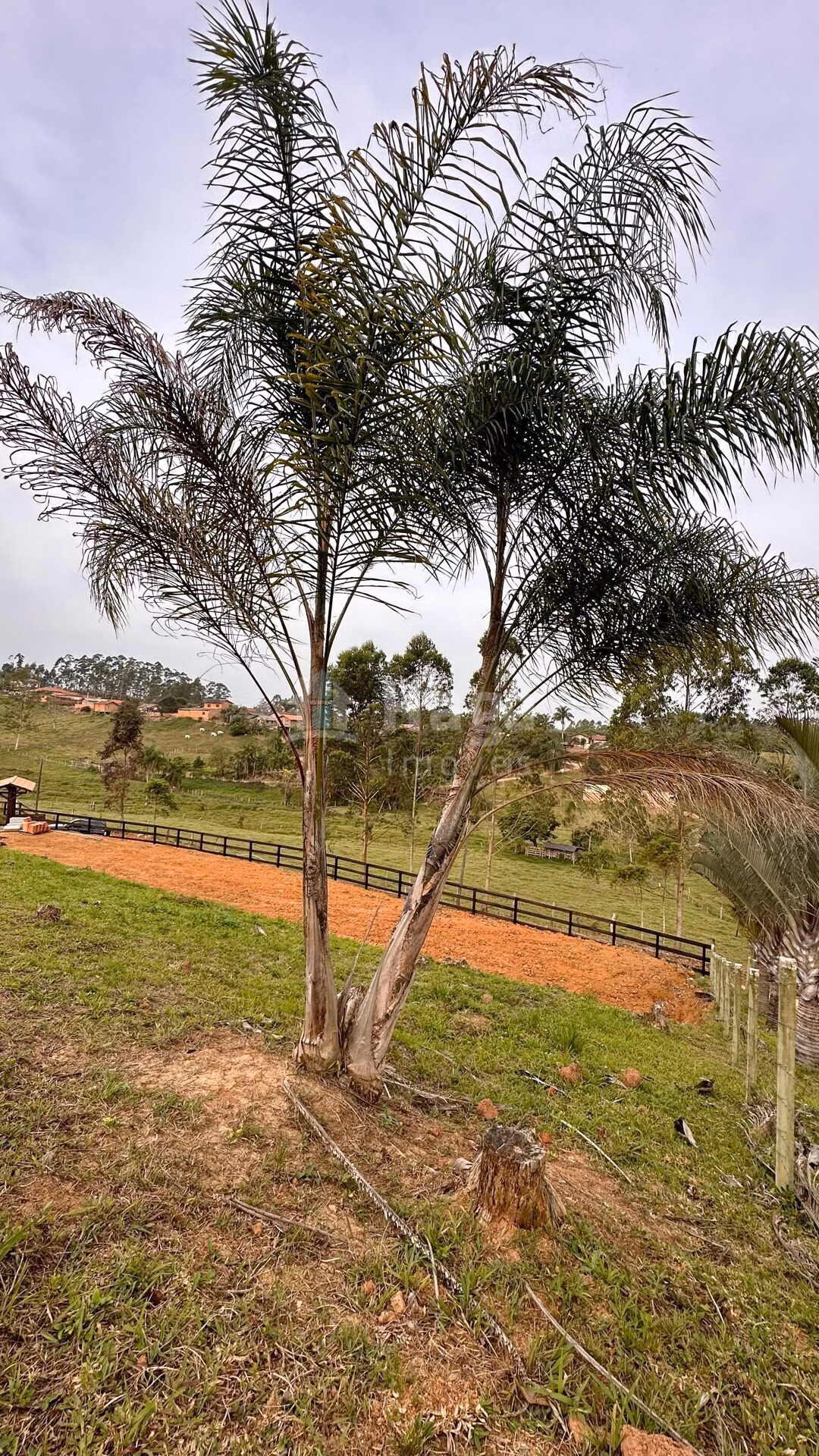 Terreno de 1.702 m² em Canelinha, SC