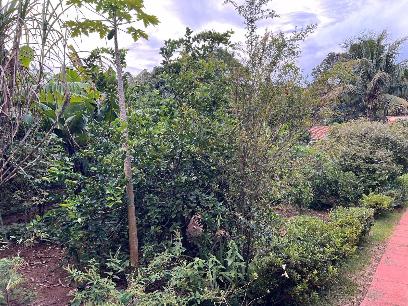 Country home of 1.400 m² in Mairinque, SP, Brazil