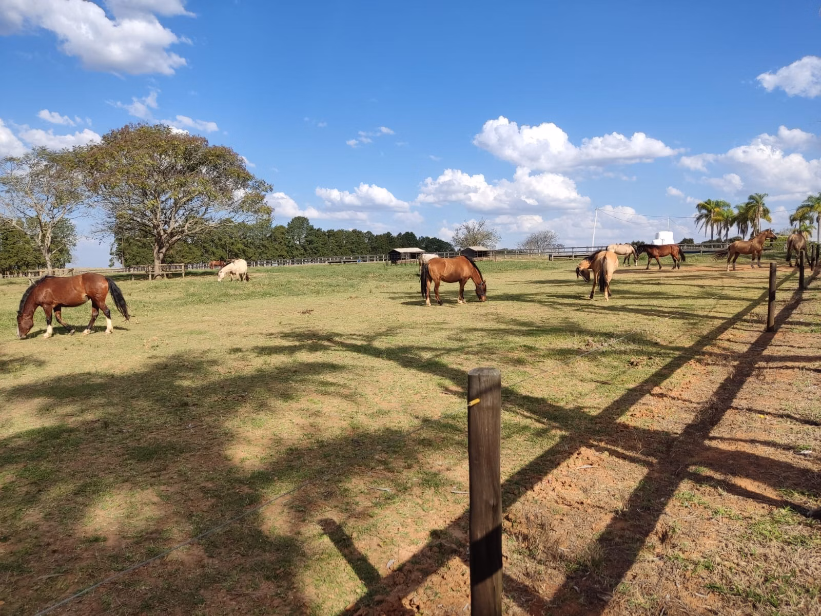 Fazenda de 203 ha em Itapetininga, SP