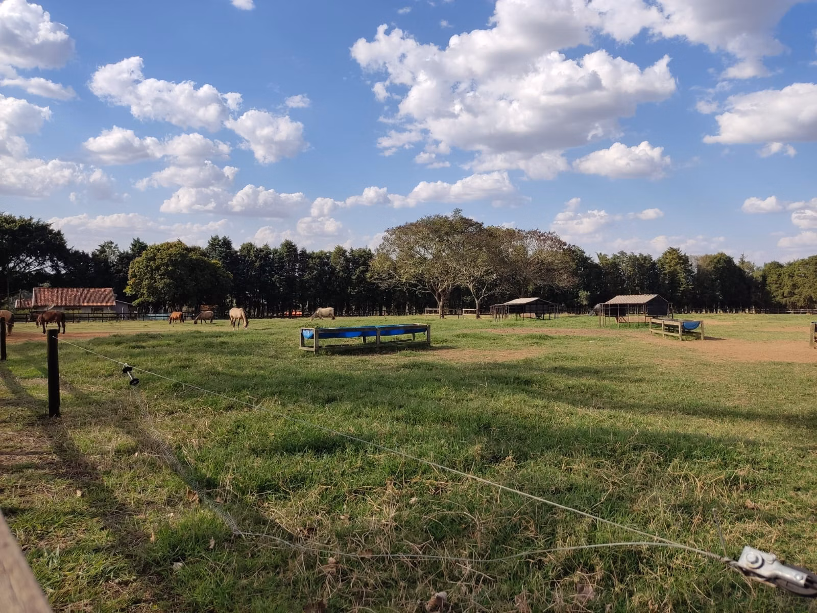 Fazenda de 203 ha em Itapetininga, SP