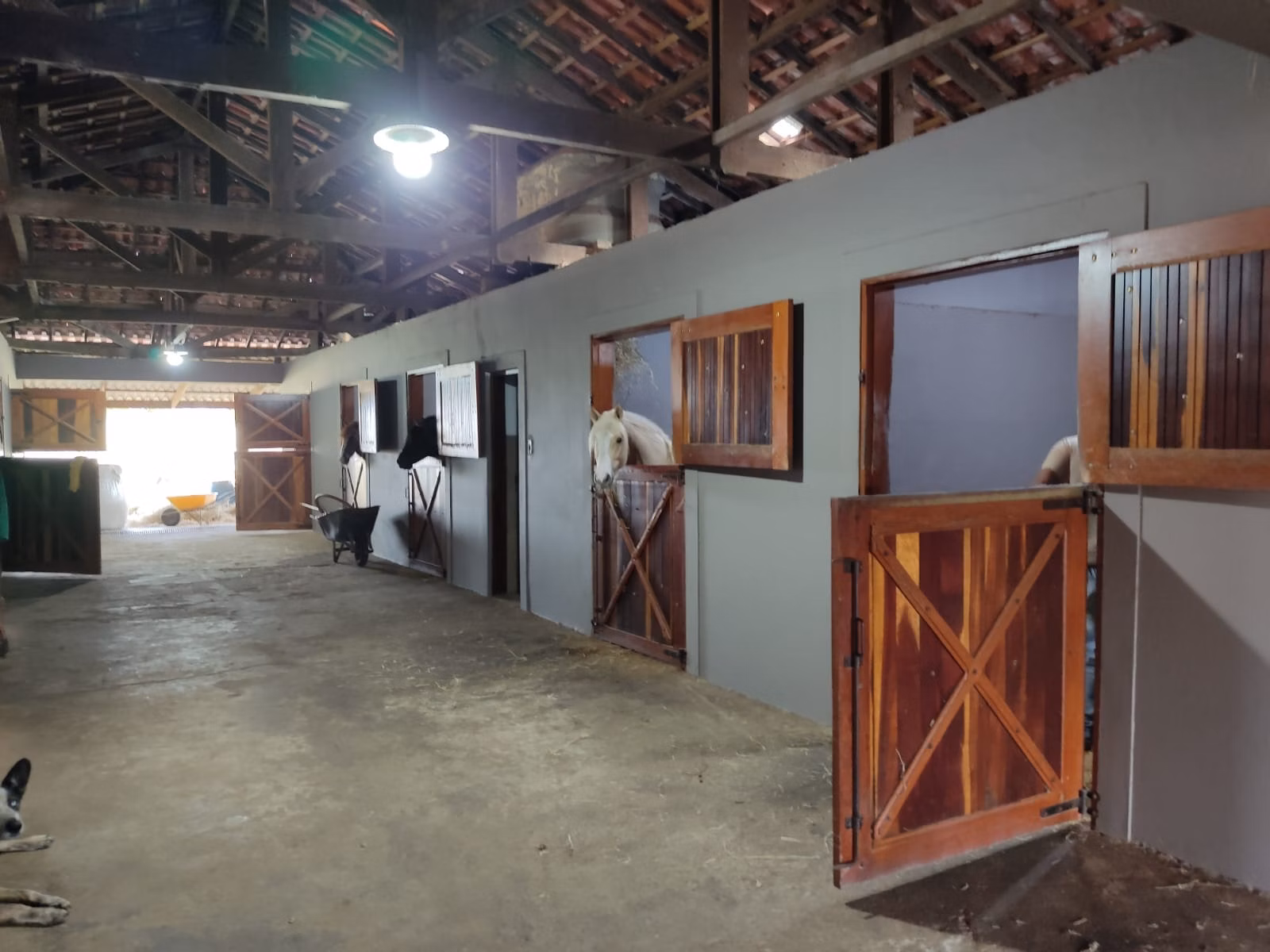 Farm of 502 acres in Itapetininga, SP, Brazil
