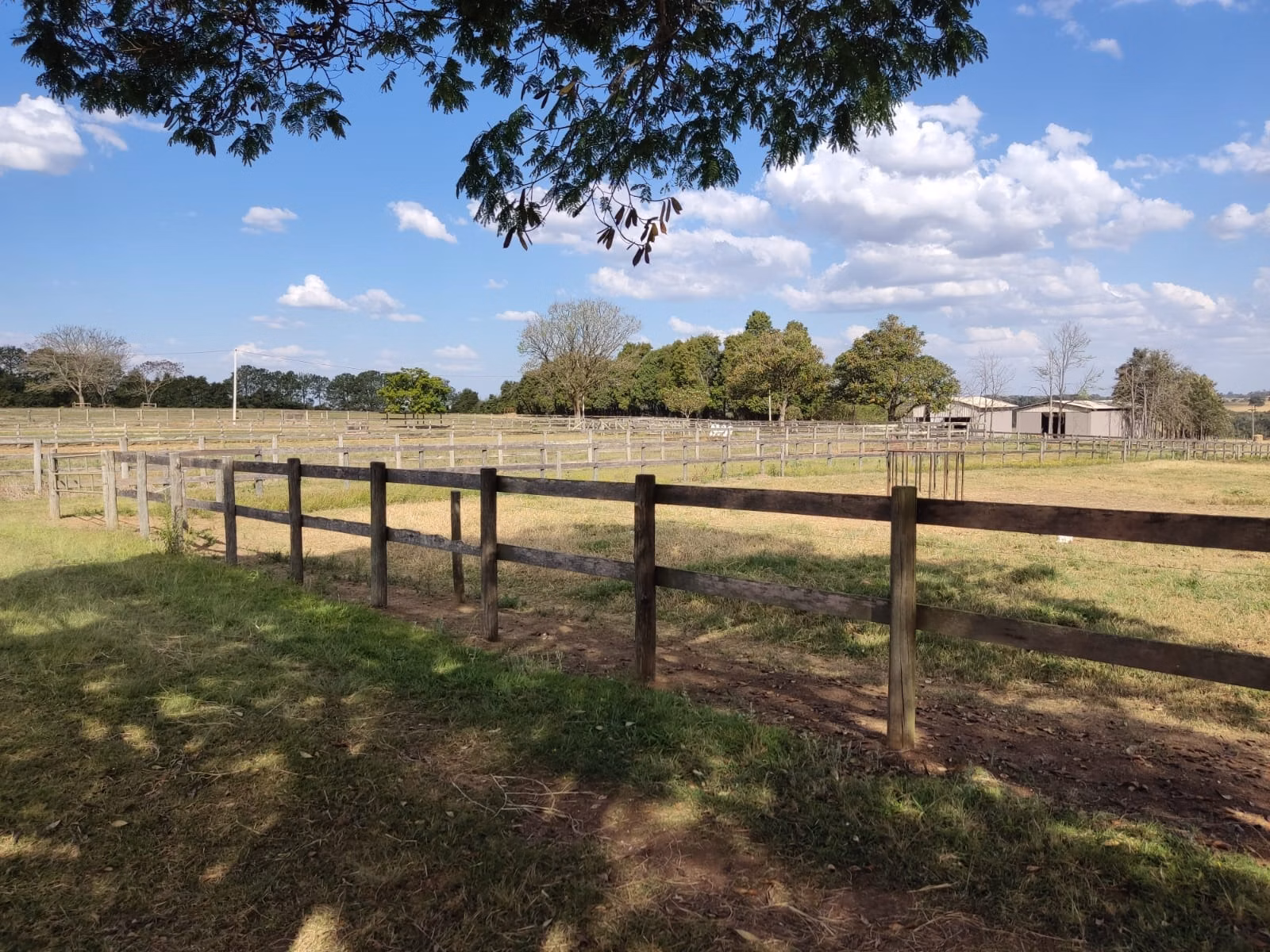 Farm of 502 acres in Itapetininga, SP, Brazil