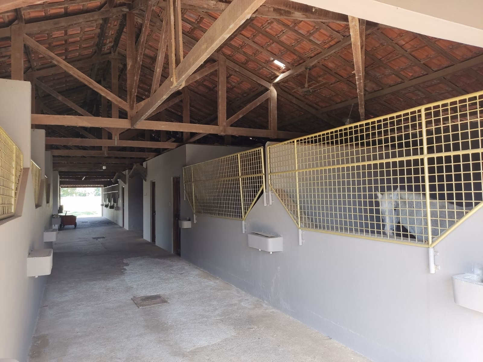 Farm of 502 acres in Itapetininga, SP, Brazil