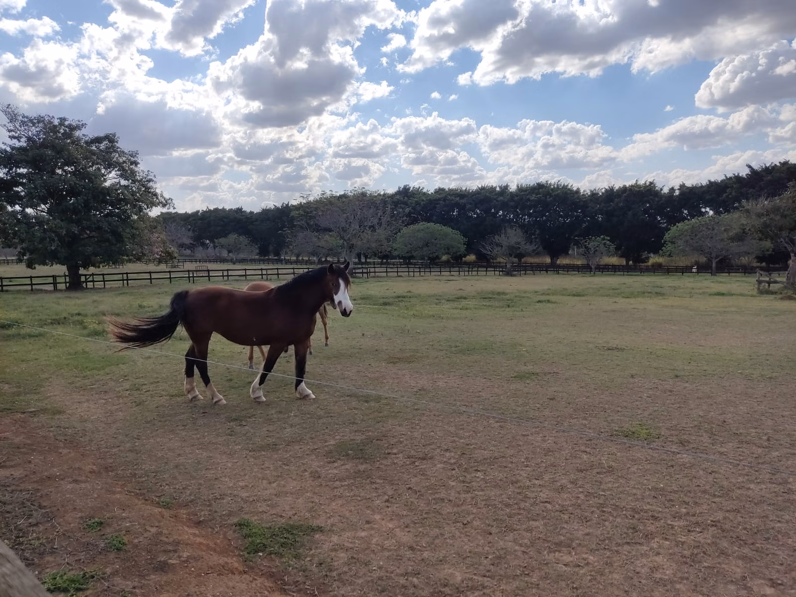 Fazenda de 203 ha em Itapetininga, SP