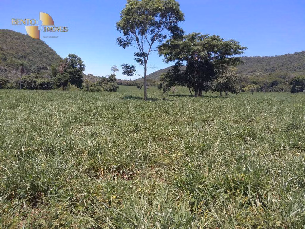 Farm of 1,179 acres in Cáceres, MT, Brazil