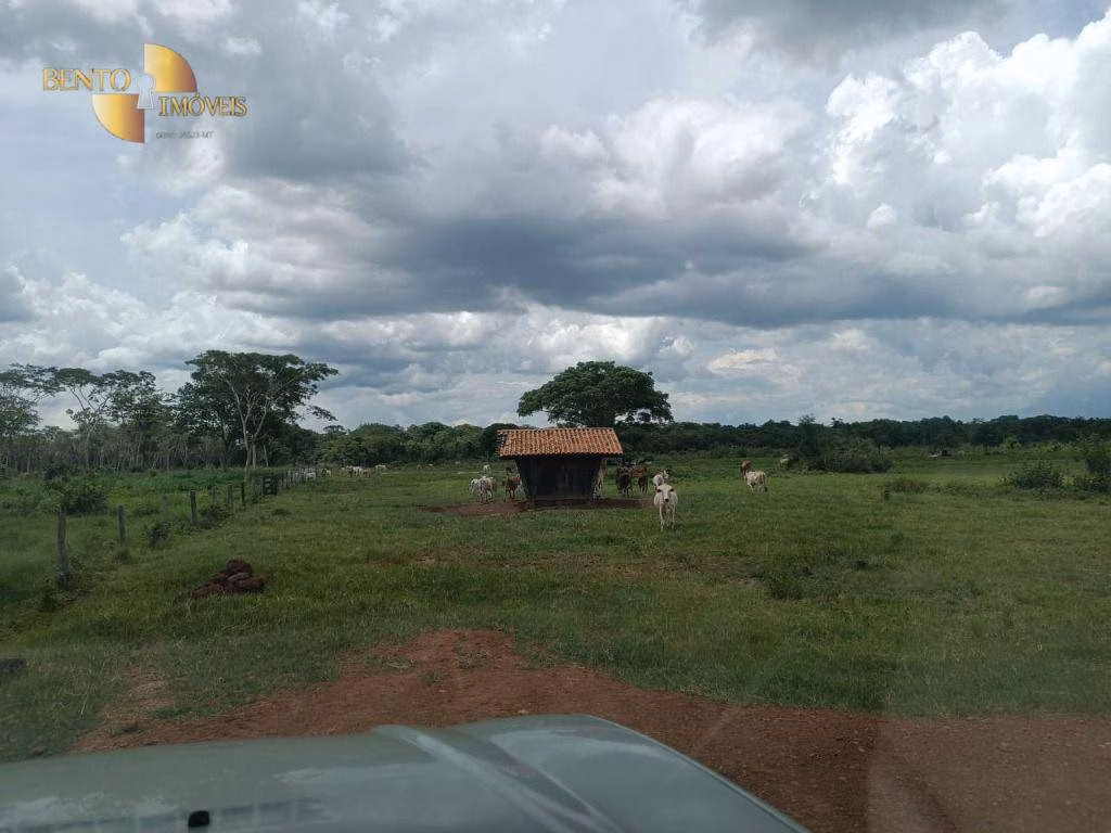 Farm of 1,730 acres in Poconé, MT, Brazil