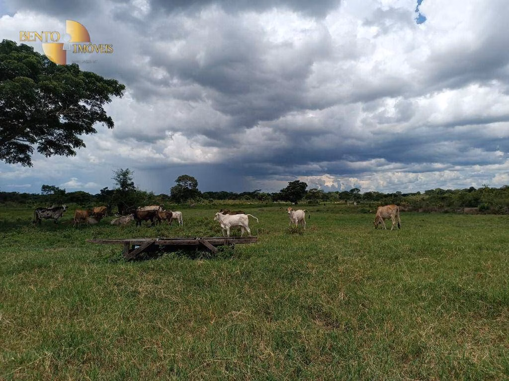Farm of 1,730 acres in Poconé, MT, Brazil