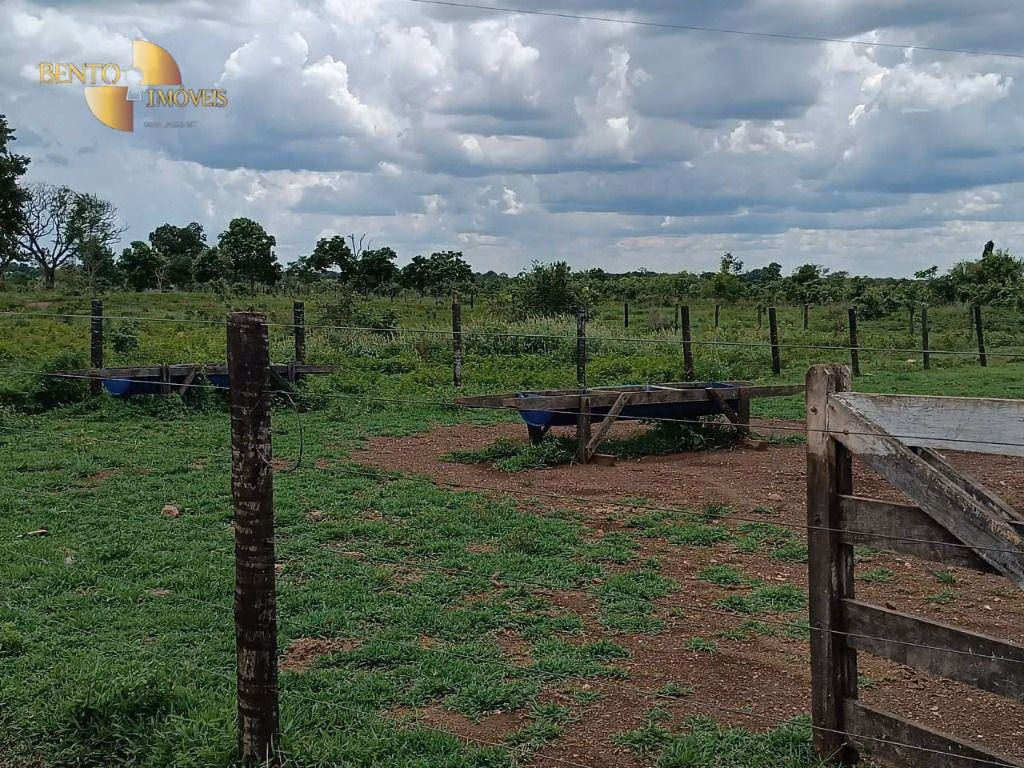Farm of 1,730 acres in Poconé, MT, Brazil