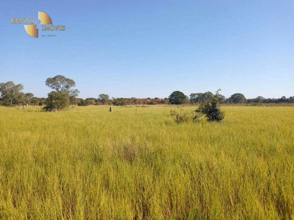 Farm of 2,965 acres in Poconé, MT, Brazil