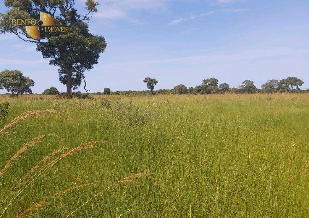 Farm of 2,965 acres in Poconé, MT, Brazil