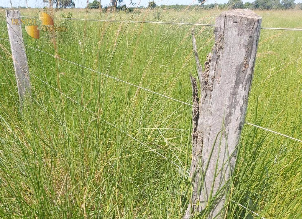 Farm of 2,965 acres in Poconé, MT, Brazil