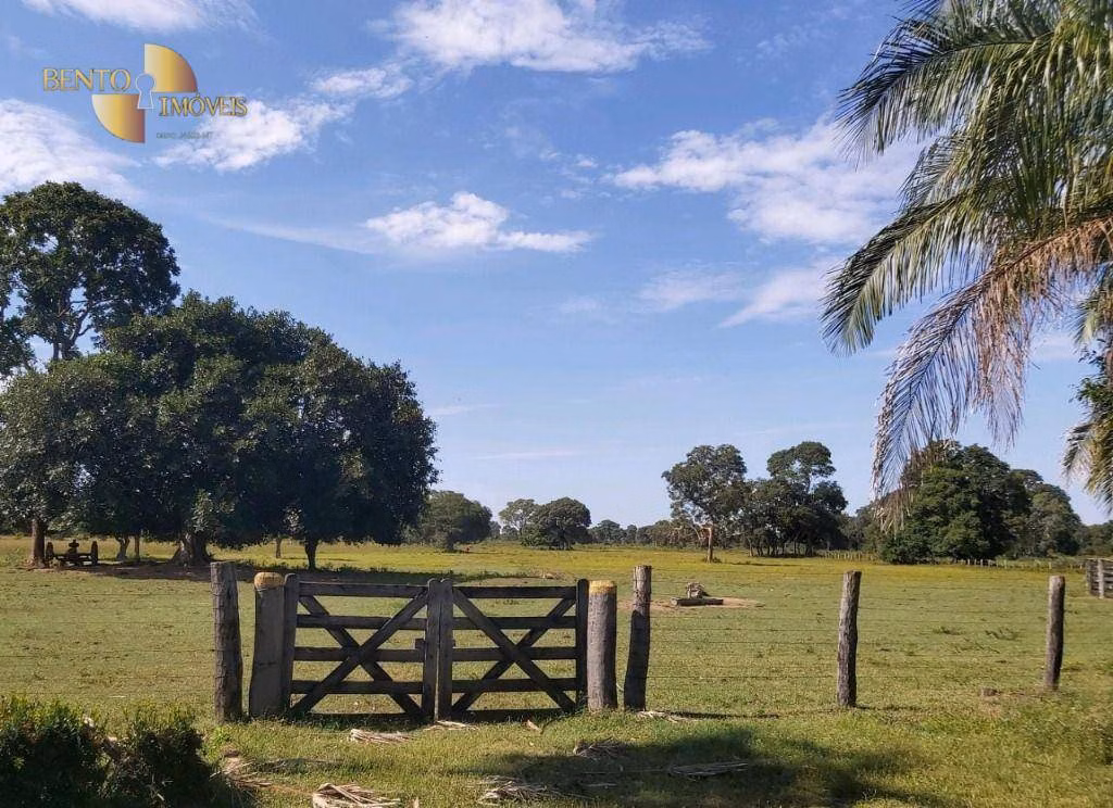 Farm of 2,965 acres in Poconé, MT, Brazil