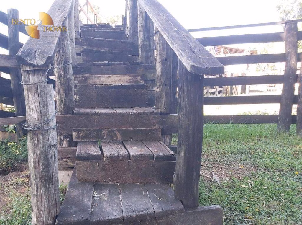 Farm of 2,965 acres in Poconé, MT, Brazil