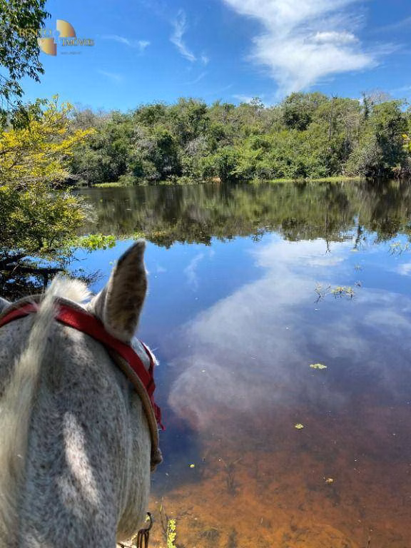 Farm of 2,965 acres in Poconé, MT, Brazil