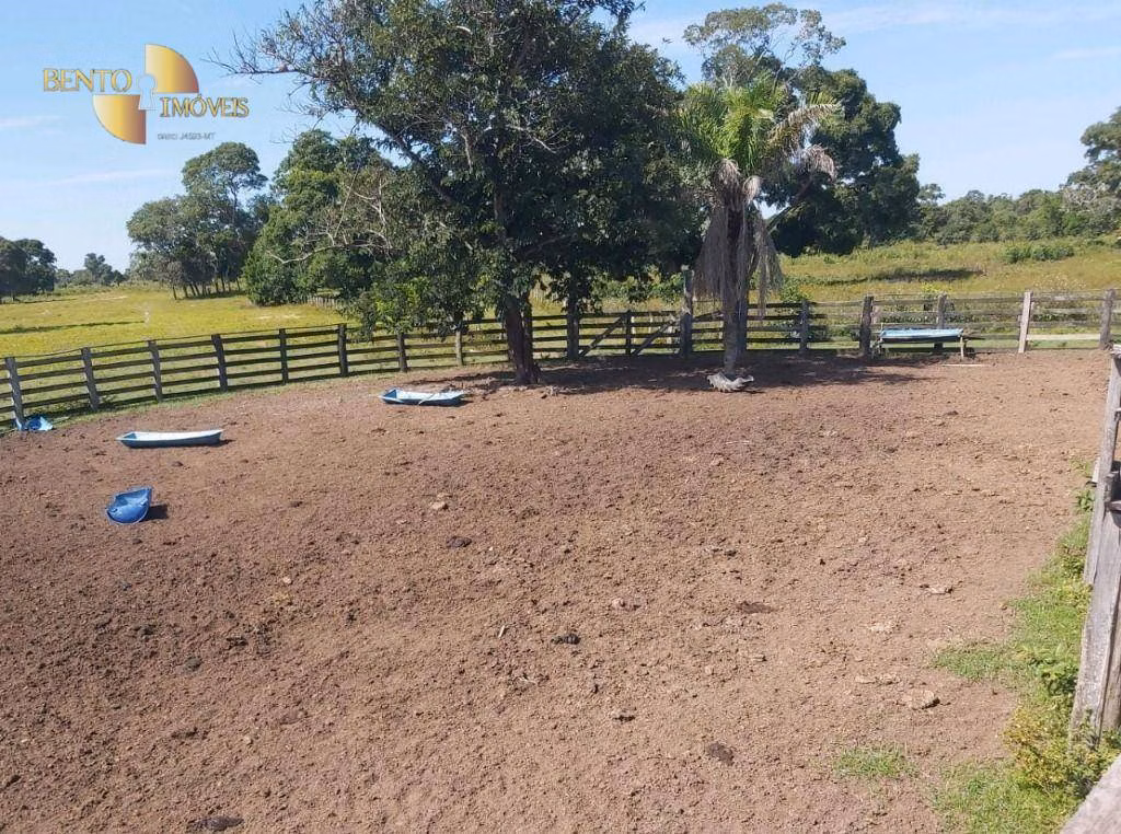 Farm of 2.965 acres in Poconé, MT, Brazil