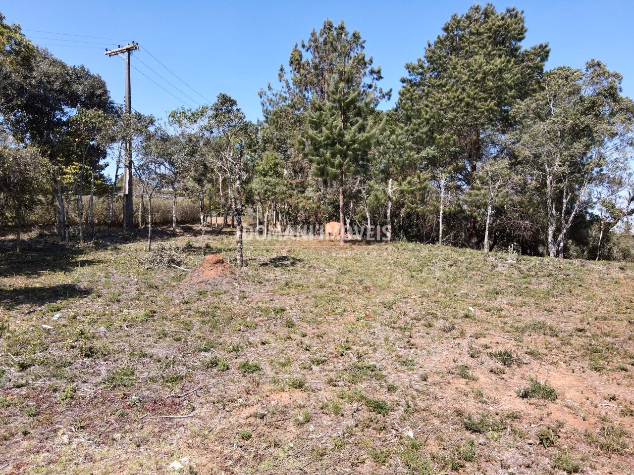 Plot of 1,680 m² in Campos do Jordão, SP, Brazil