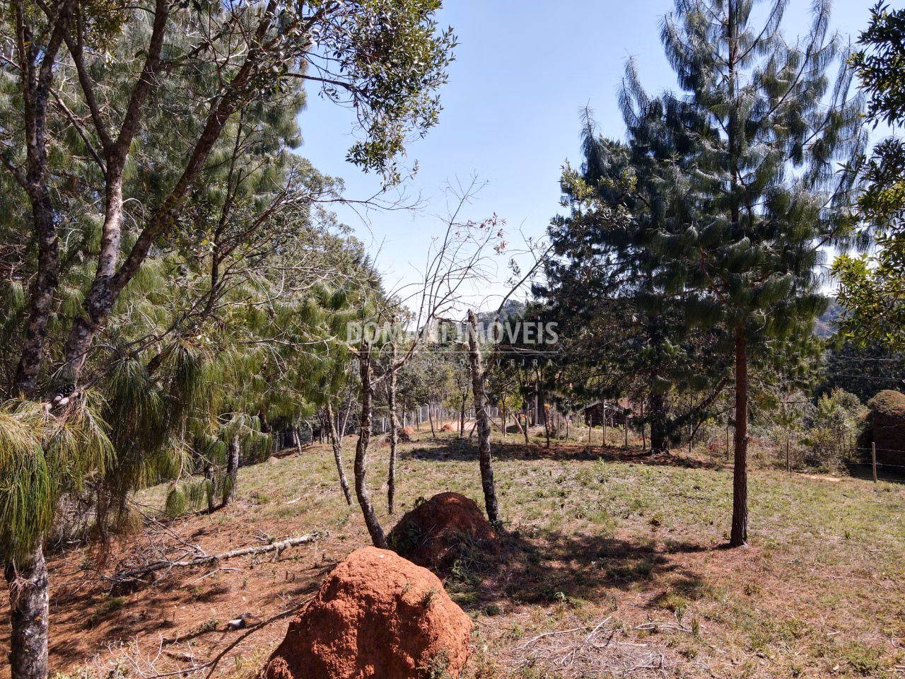 Plot of 1,680 m² in Campos do Jordão, SP, Brazil