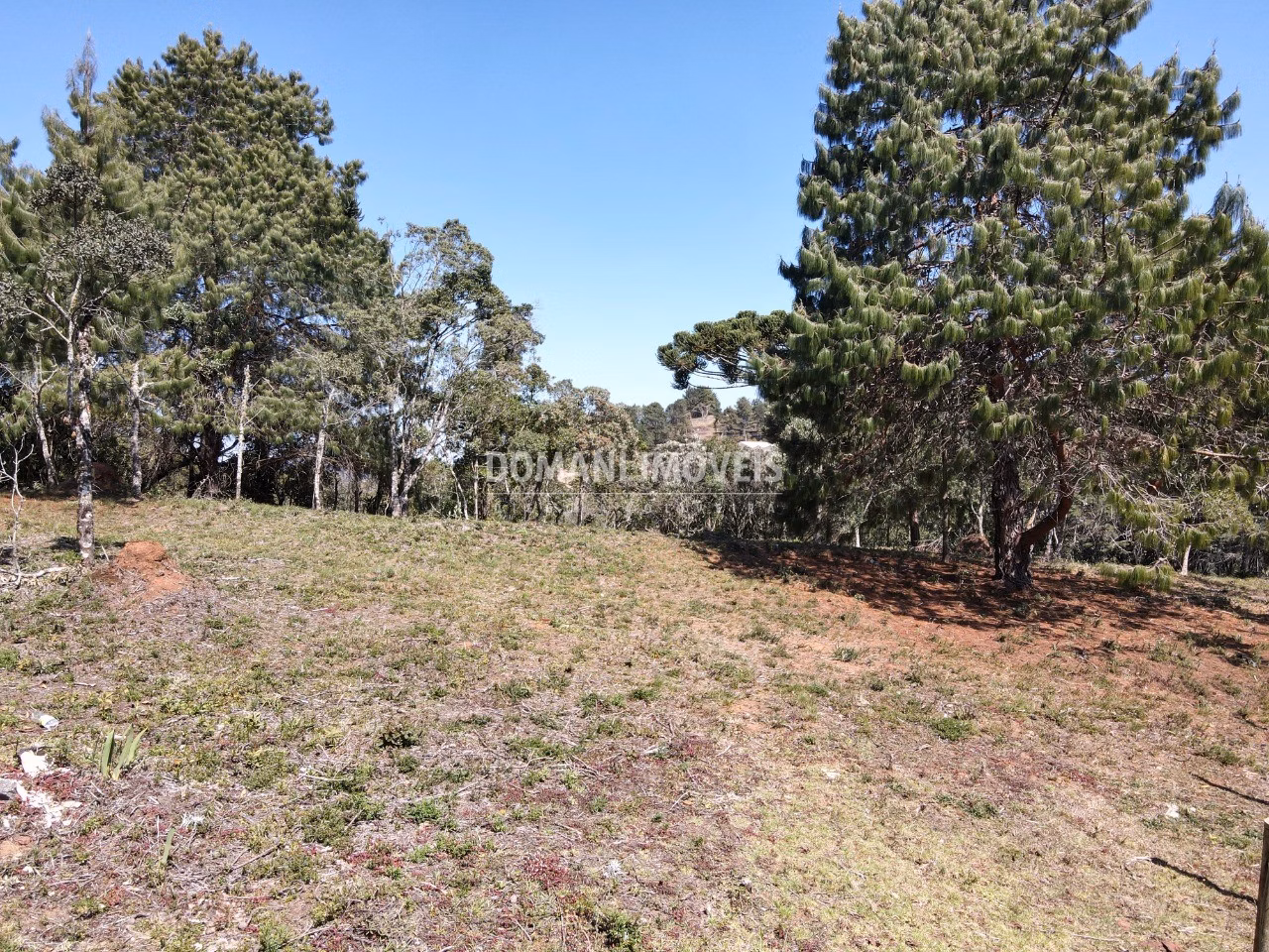 Plot of 1,680 m² in Campos do Jordão, SP, Brazil