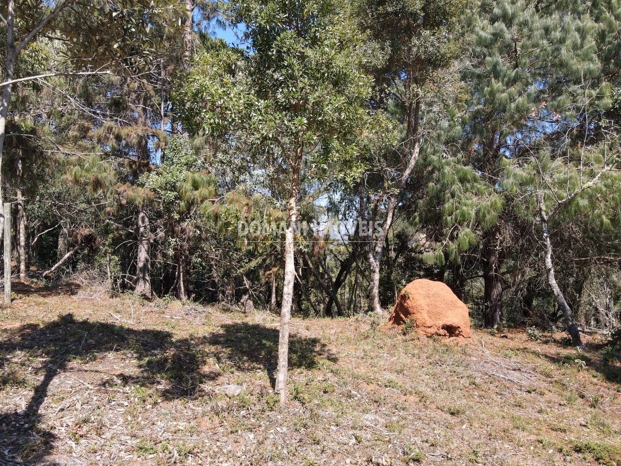 Plot of 1,680 m² in Campos do Jordão, SP, Brazil