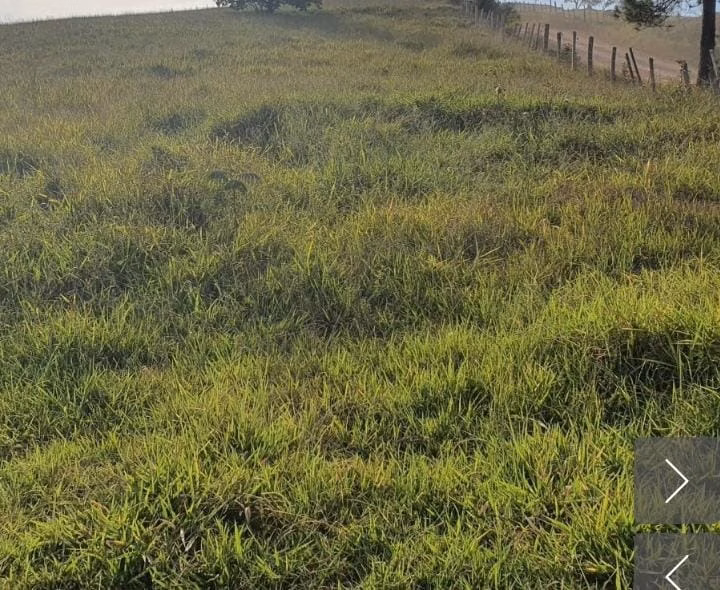 Sítio de 4 ha em Angatuba, SP
