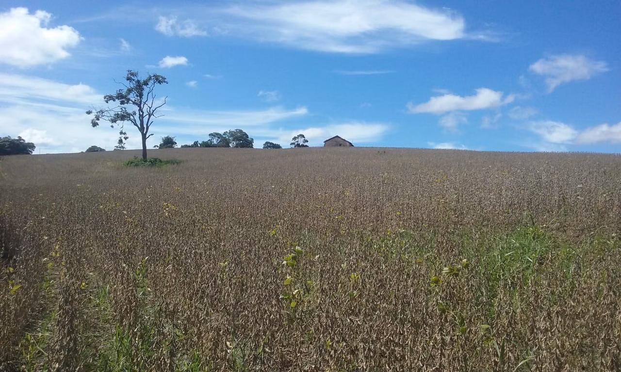 Small farm of 54 acres in Itapetininga, SP, Brazil