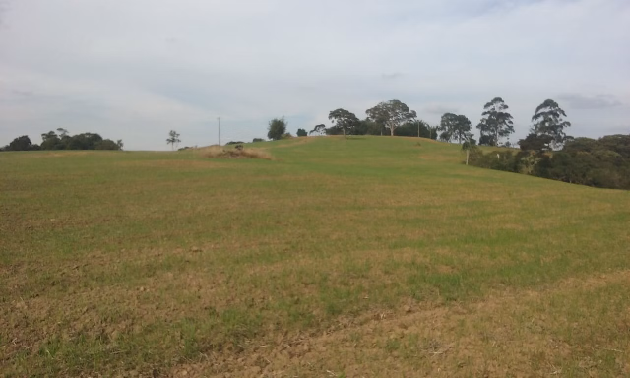 Small farm of 54 acres in Itapetininga, SP, Brazil