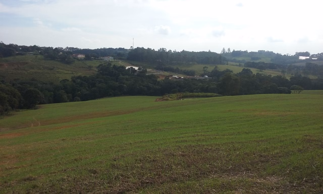 Small farm of 54 acres in Itapetininga, SP, Brazil