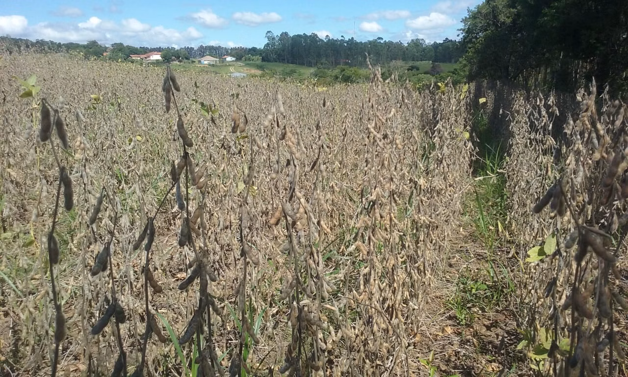 Small farm of 54 acres in Itapetininga, SP, Brazil
