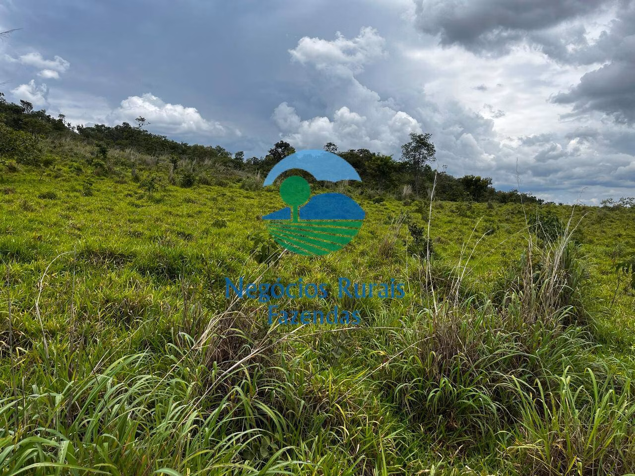 Fazenda de 667 ha em Padre Bernardo, GO