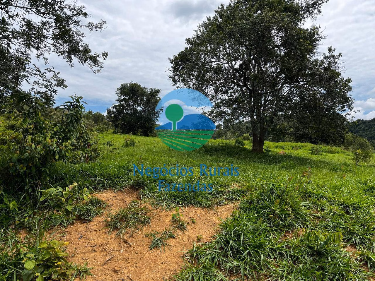 Fazenda de 667 ha em Padre Bernardo, GO