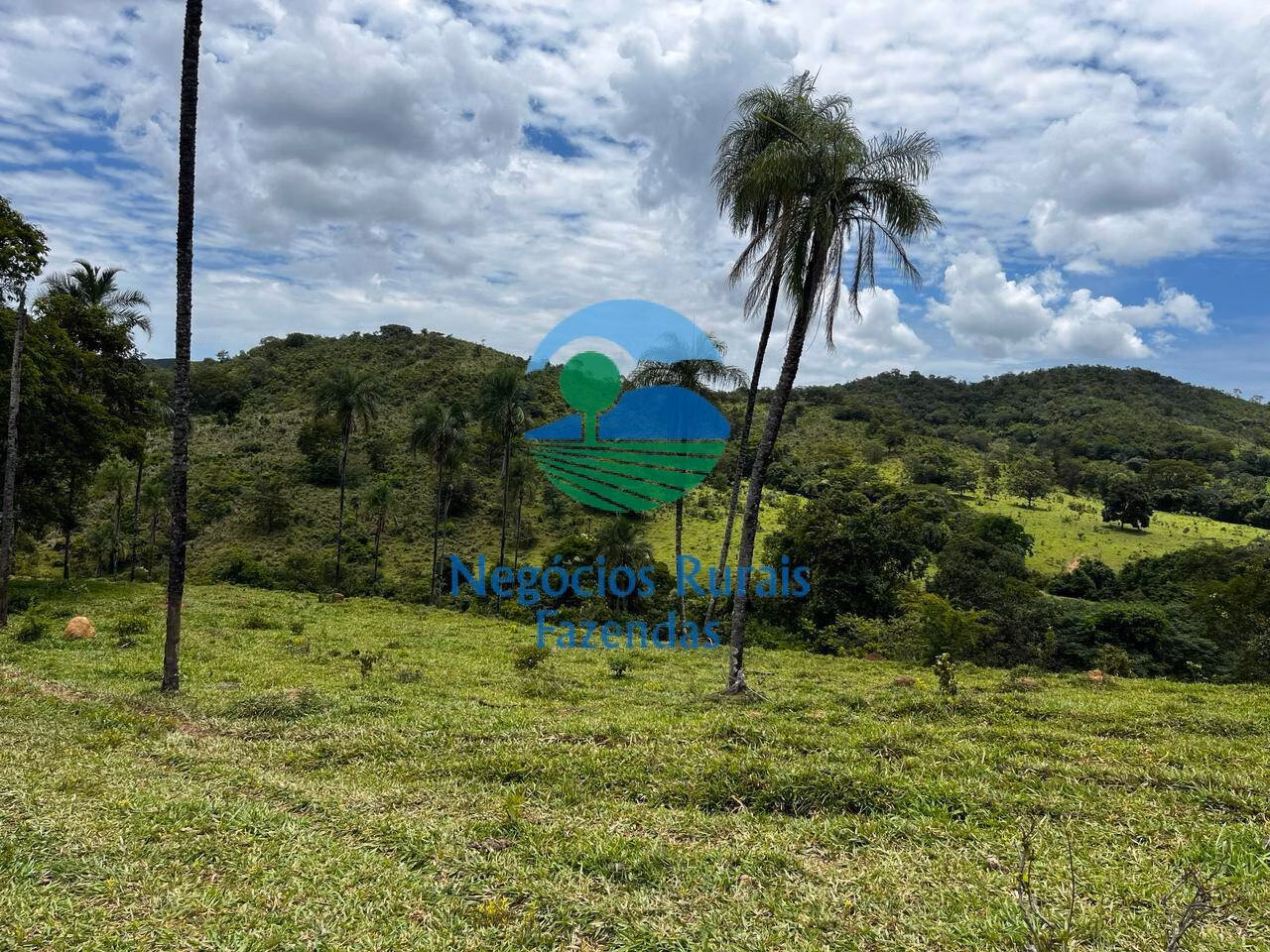 Fazenda de 667 ha em Padre Bernardo, GO