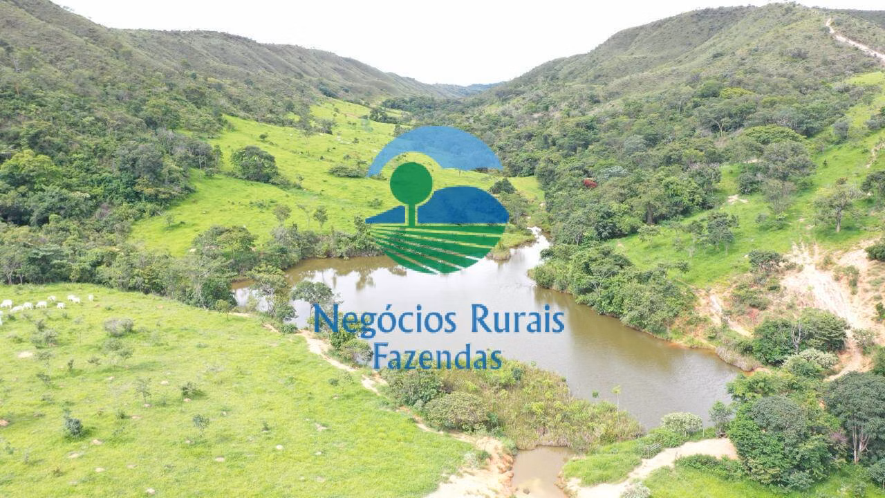 Fazenda de 667 ha em Padre Bernardo, GO