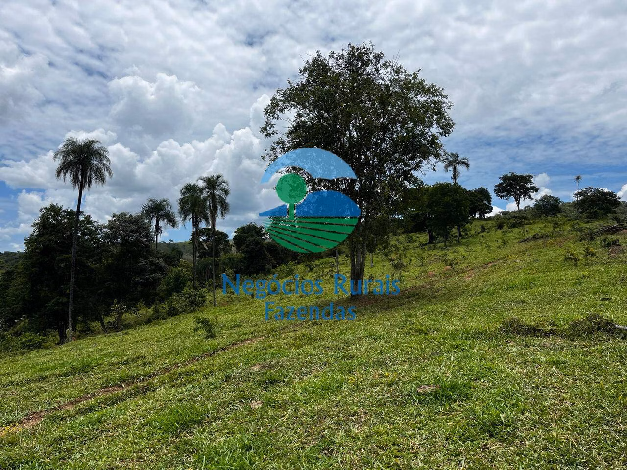 Fazenda de 667 ha em Padre Bernardo, GO