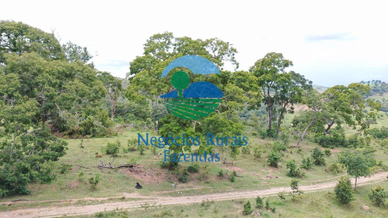 Fazenda de 667 ha em Padre Bernardo, GO