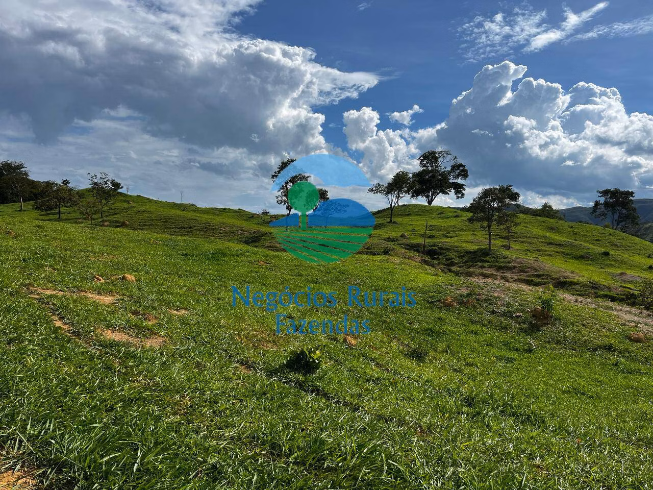 Fazenda de 667 ha em Padre Bernardo, GO