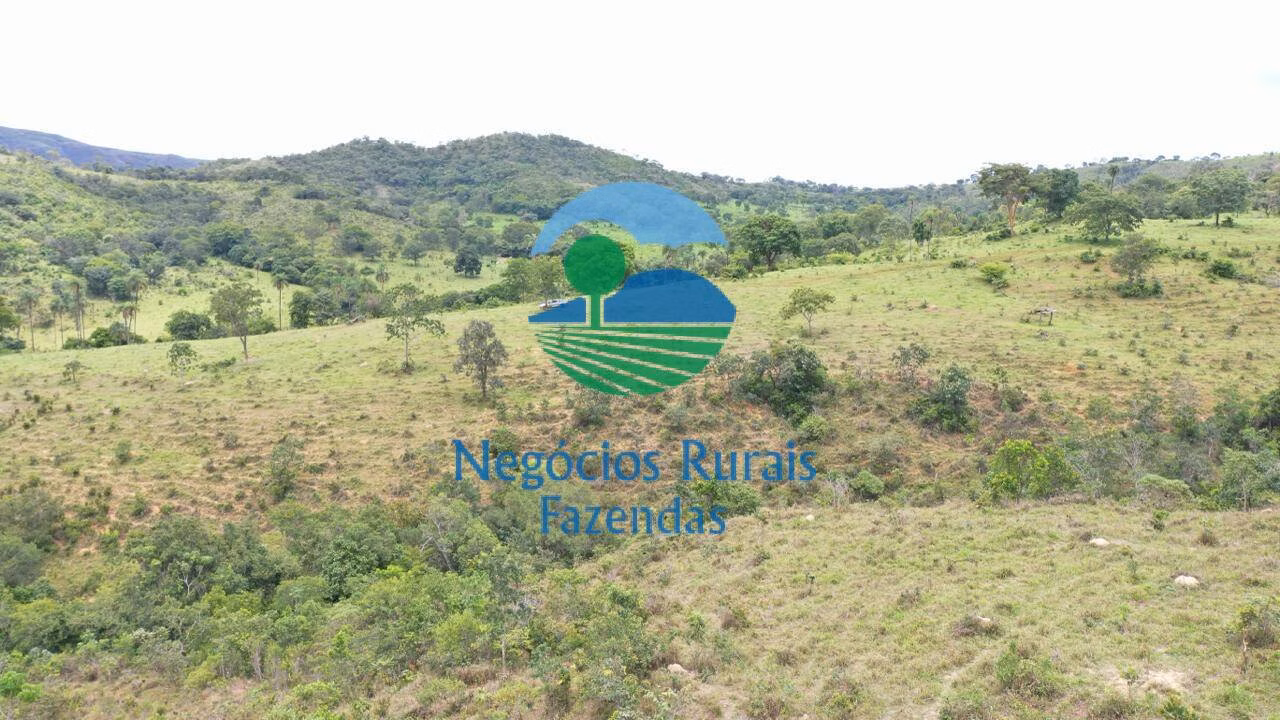 Fazenda de 667 ha em Padre Bernardo, GO