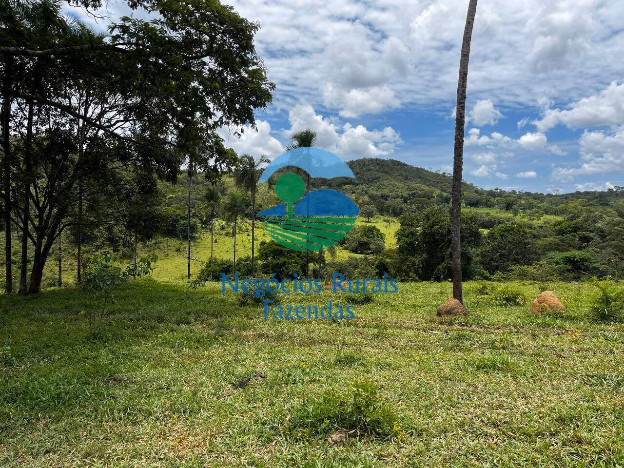 Fazenda de 667 ha em Padre Bernardo, GO
