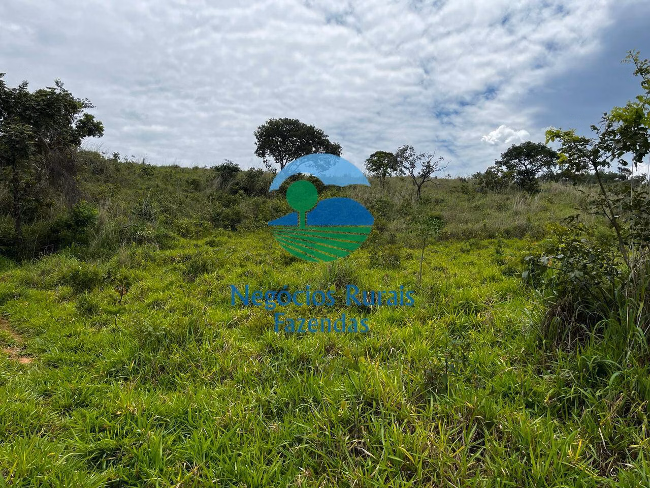 Fazenda de 667 ha em Padre Bernardo, GO