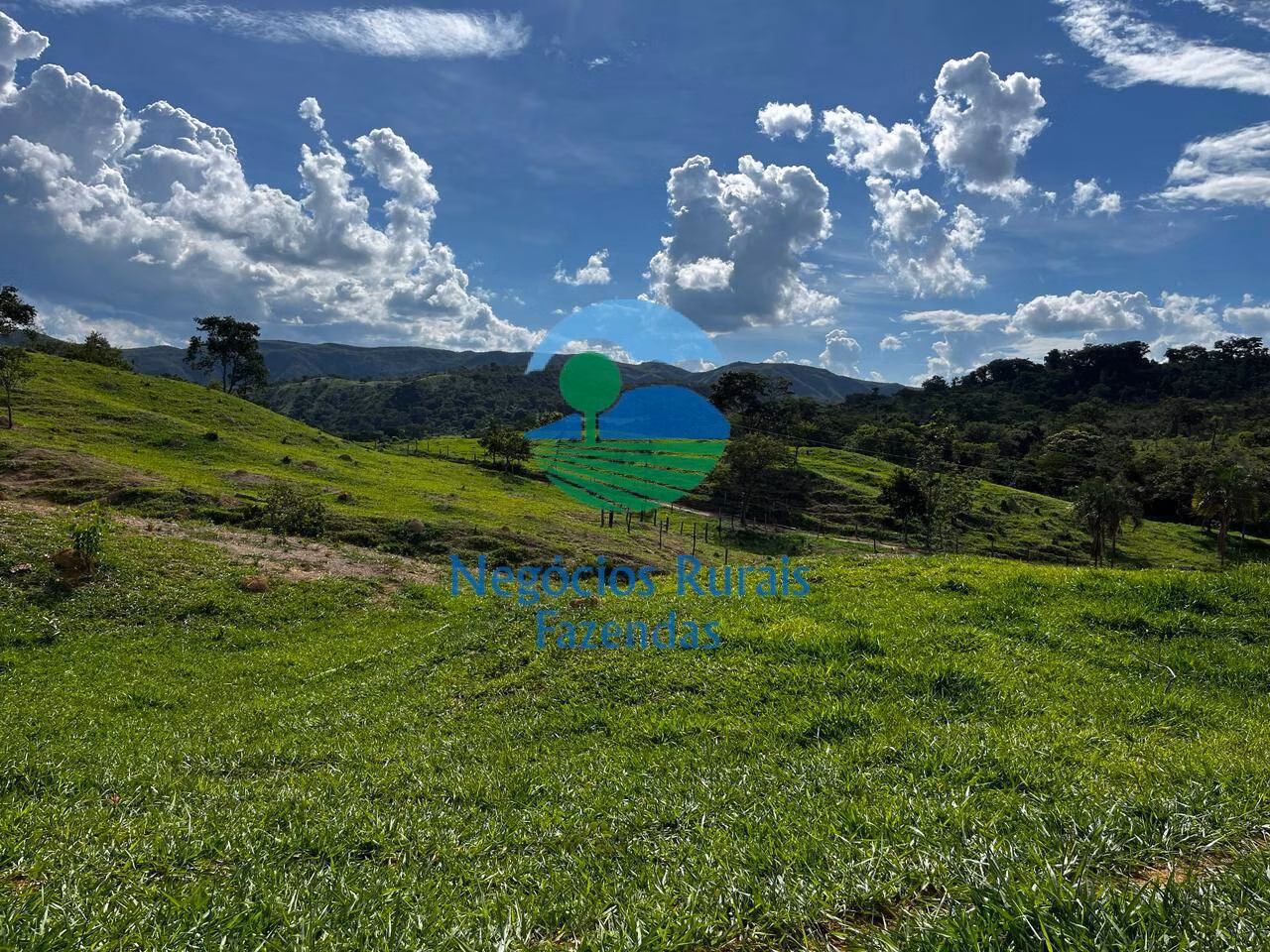 Fazenda de 667 ha em Padre Bernardo, GO